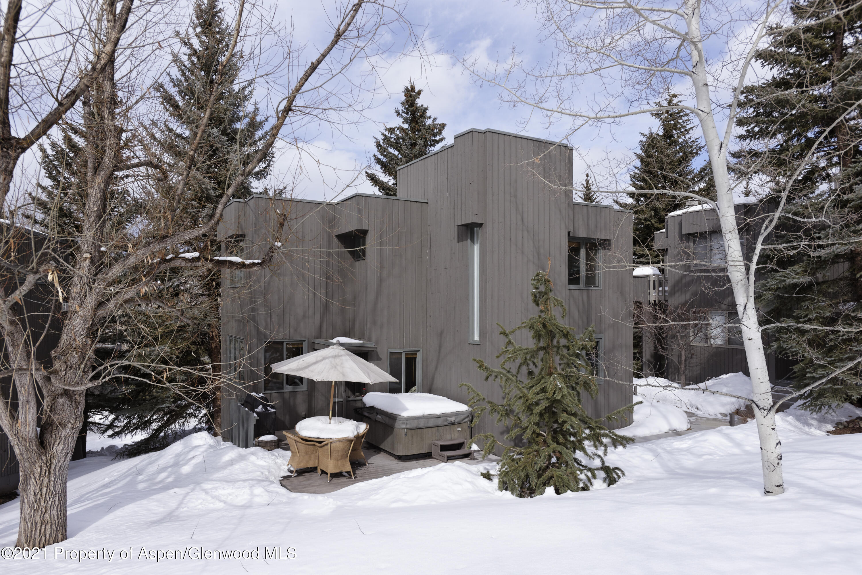 20 Meadow Ranch Road Snowmass Village, CO 81615 - Photo 2 of 19 20MeadowRanchRd_HiRes_02112021025