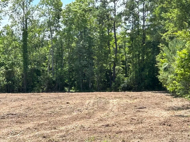 $550,000 | 1 Ace Basin Highway, Jacksonboro, SC 29452