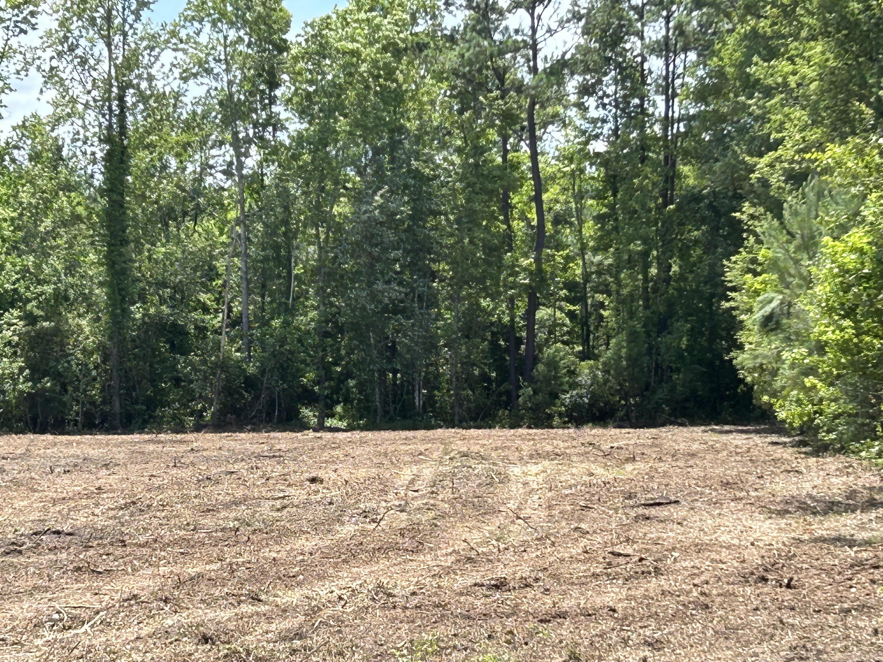 1 Ace Basin Highway Jacksonboro, SC 29452 - Photo 1 of 8 Glover 1