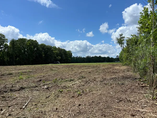 $550,000 | 1 Ace Basin Highway, Jacksonboro, SC 29452