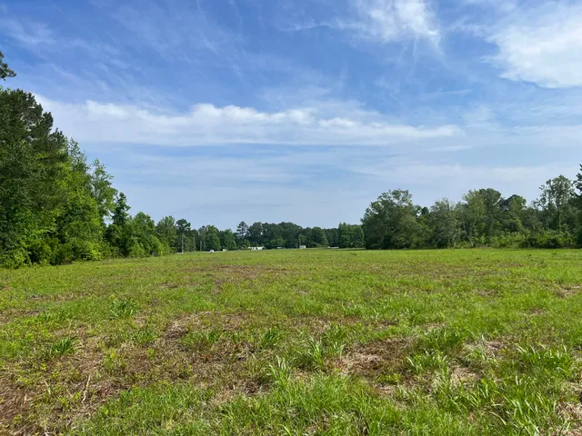 $550,000 | 1 Ace Basin Highway, Jacksonboro, SC 29452