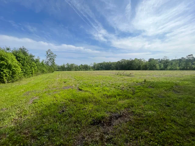 $550,000 | 1 Ace Basin Highway, Jacksonboro, SC 29452