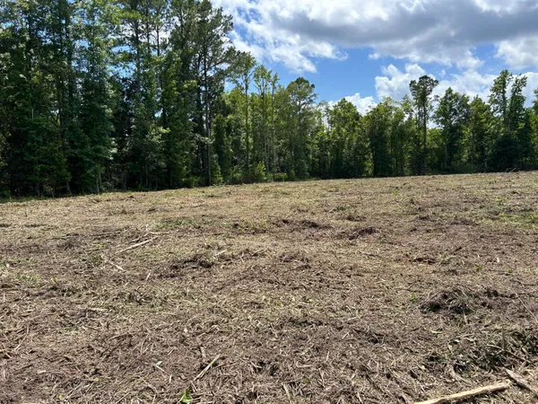 $550,000 | 1 Ace Basin Highway, Jacksonboro, SC 29452