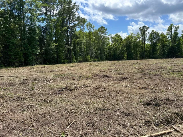 $550,000 | 1 Ace Basin Highway, Jacksonboro, SC 29452