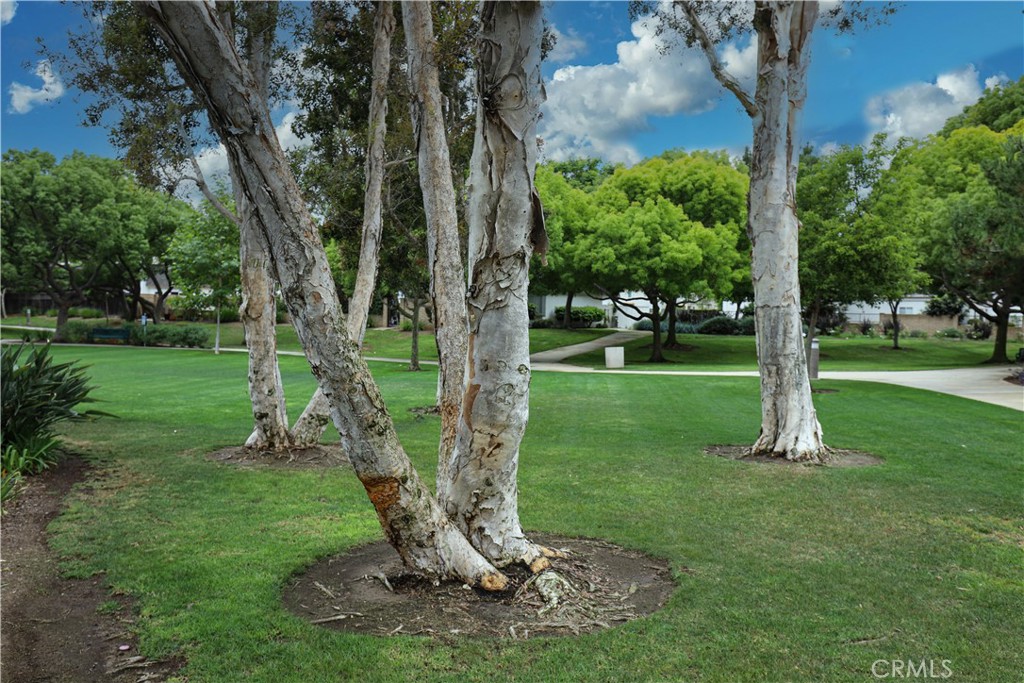 10 Mann Street Irvine, CA 92612 - Photo 59 of 66