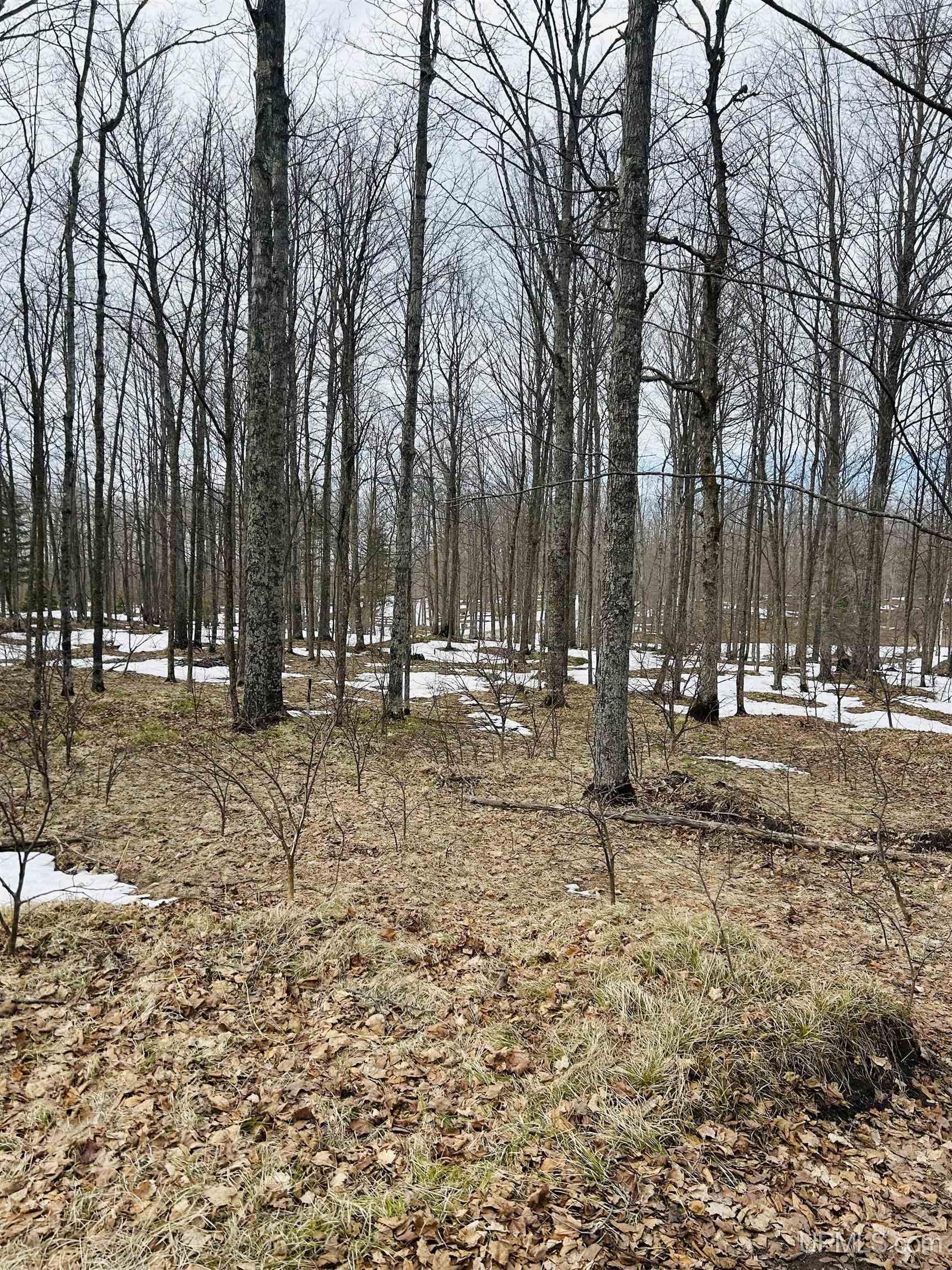 Lot#25 Fordville Road Foster City, MI 49834 - Photo 3 of 27