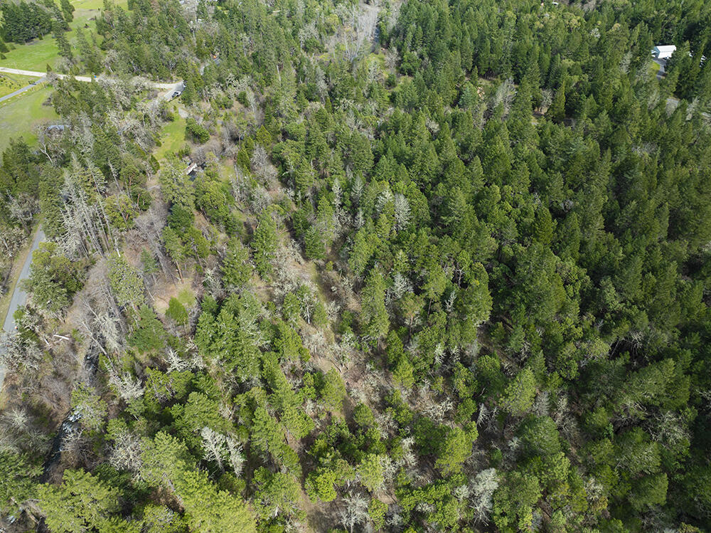 15150 Water Gap Road Williams, OR 97544 - Photo 51 of 53 56