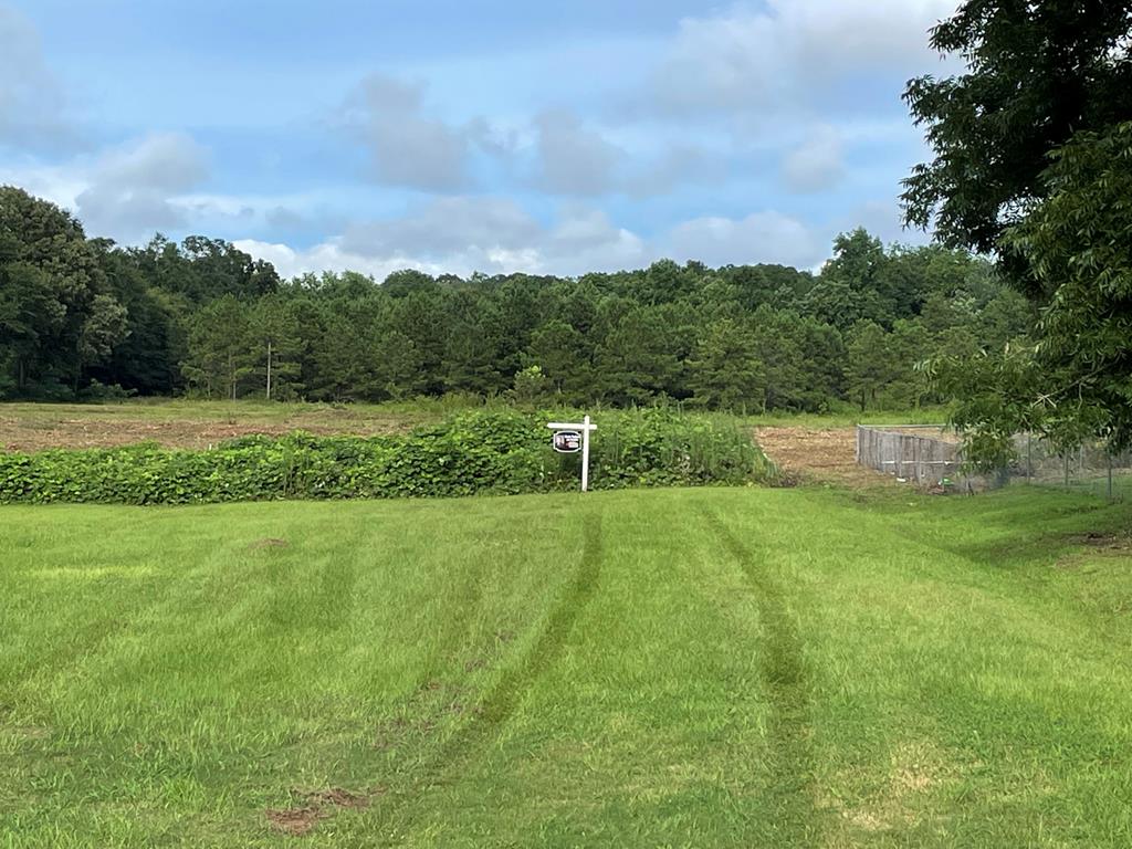 0 Iris Road Dothan, AL 36301 - Photo 1 of 12
