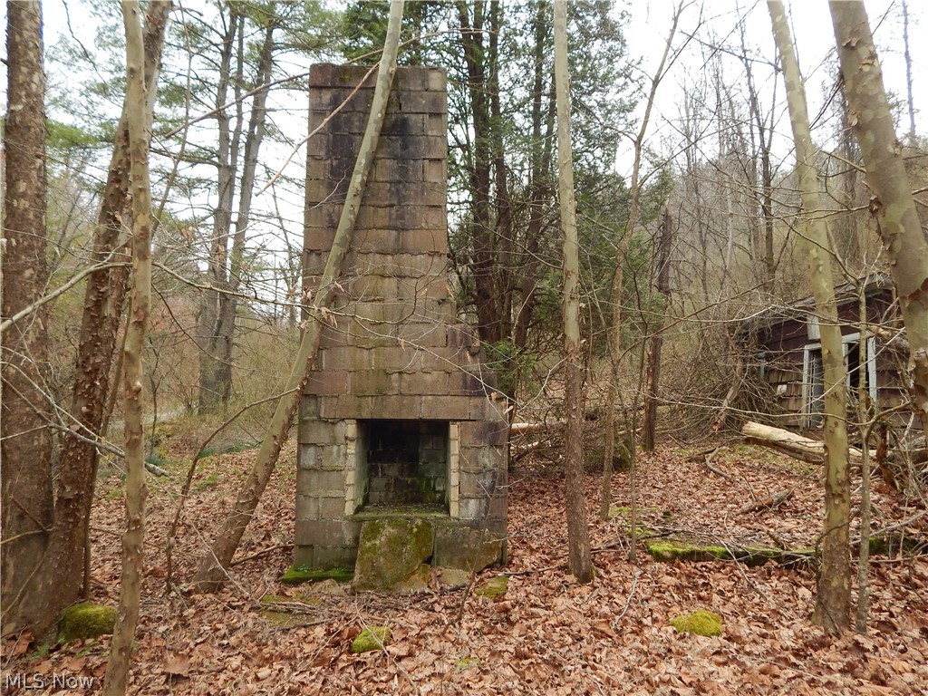 Lick Run Road Smithville, WV 26178 - Photo 11 of 30