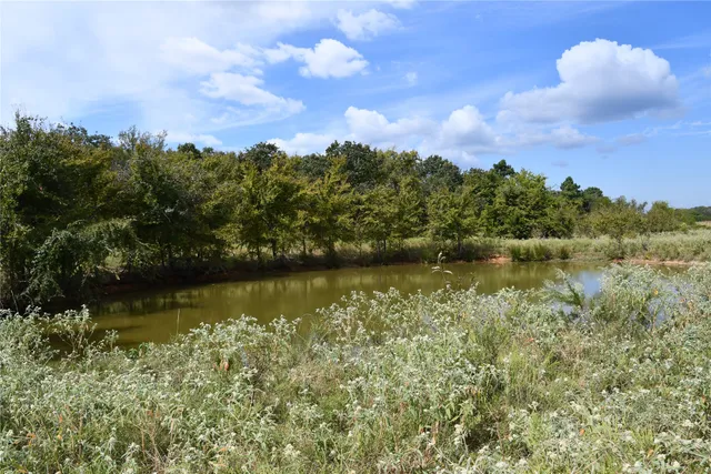 a view of lake with green space