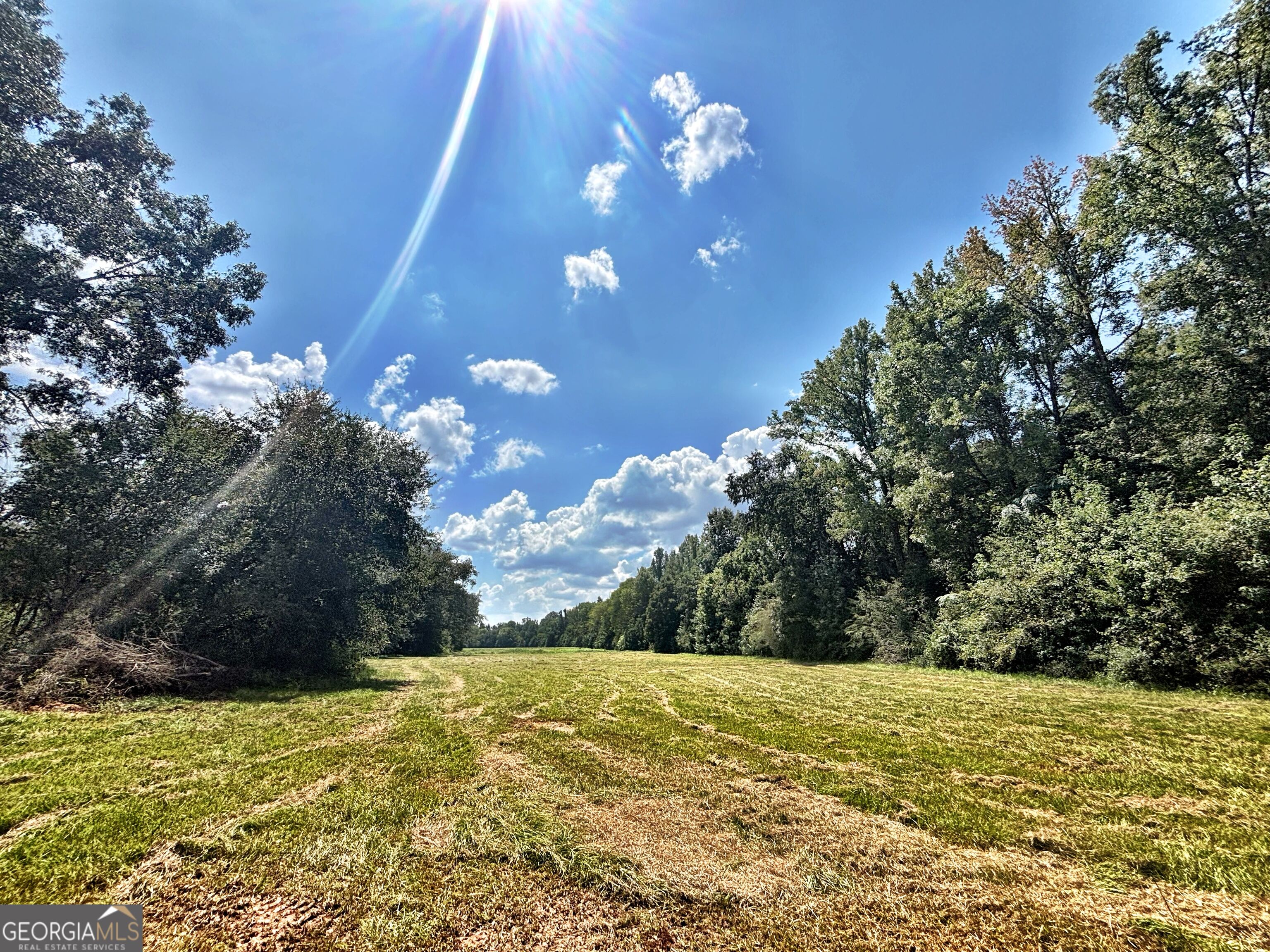 102 Yellow Creek Road Forsyth, GA 31029 - Photo 27 of 31 Gallery Image 27