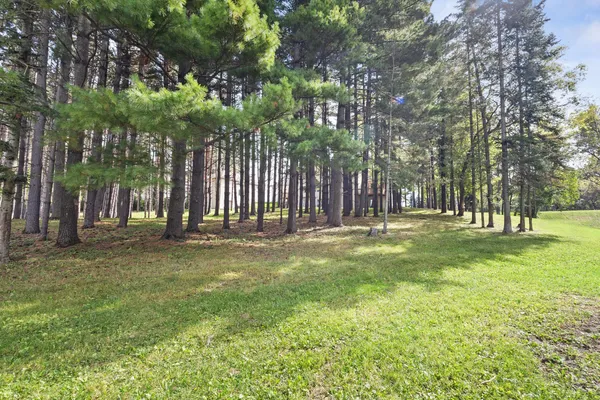 $995,000 | 1105 114th Street West, Inver Grove Heights, MN 55077