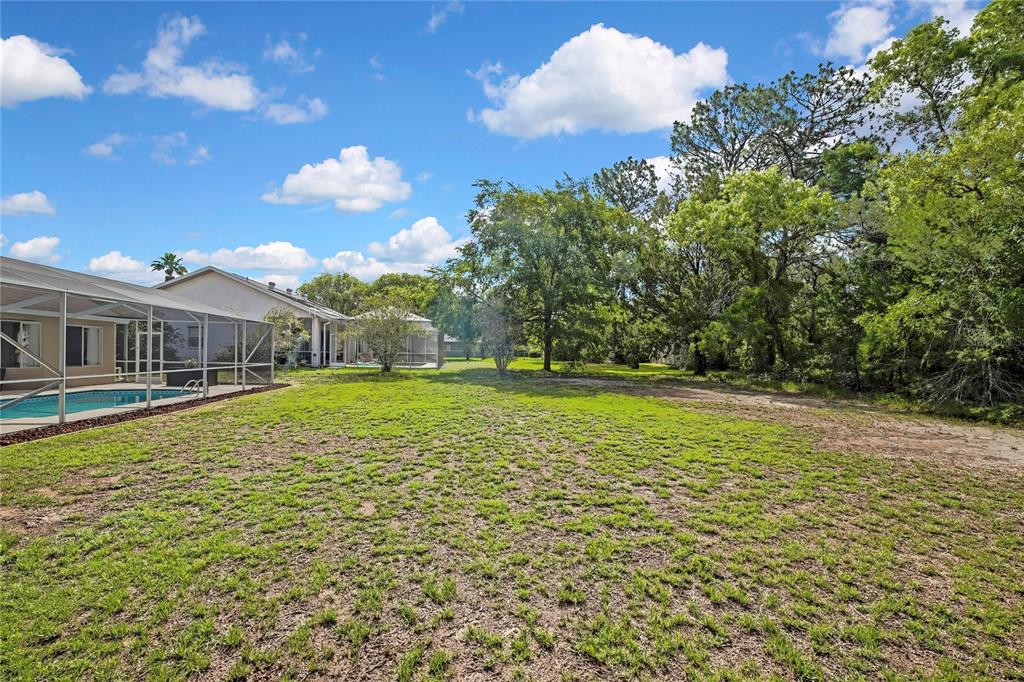 13290 Don Loop Spring Hill, FL 34609 - Photo 48 of 56