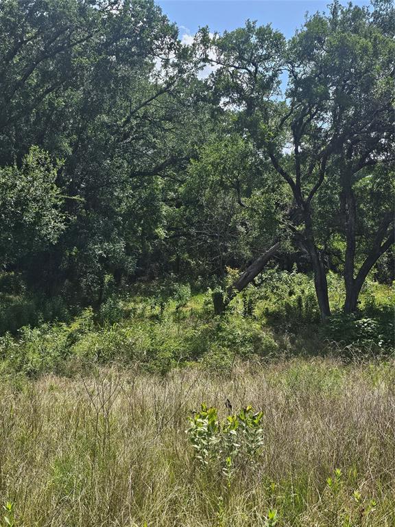 101 Private Road Whitney, TX 76692 - Photo 15 of 30 a view of forest