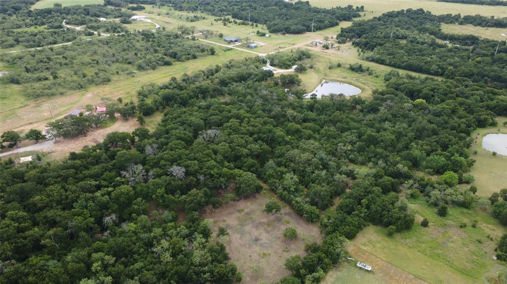 101 Private Road Whitney, TX 76692 - Photo 20 of 30 a view of a forest with a street