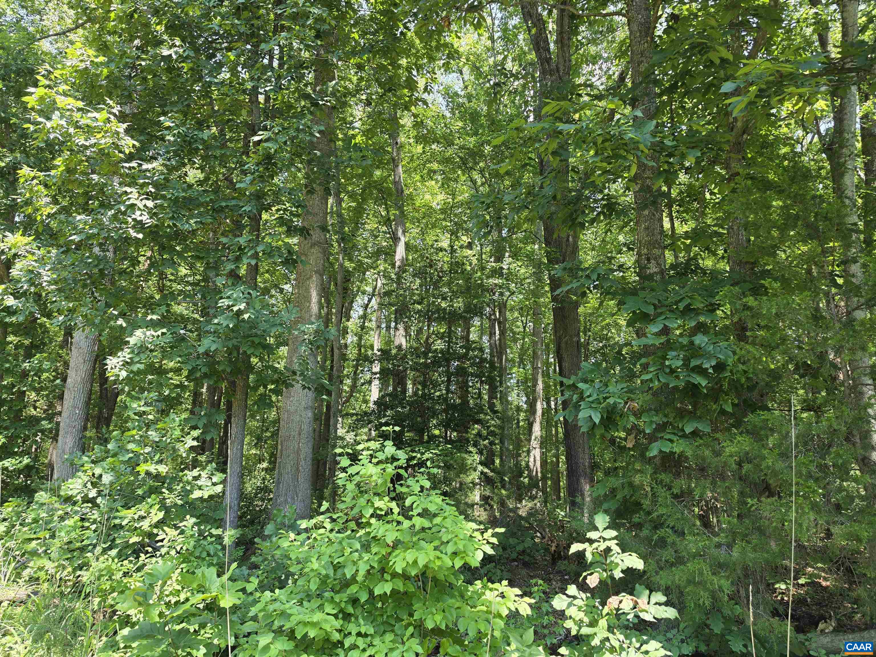 Stage Junction Road Columbia, VA 23038 - Photo 2 of 10 Gallery Image 2