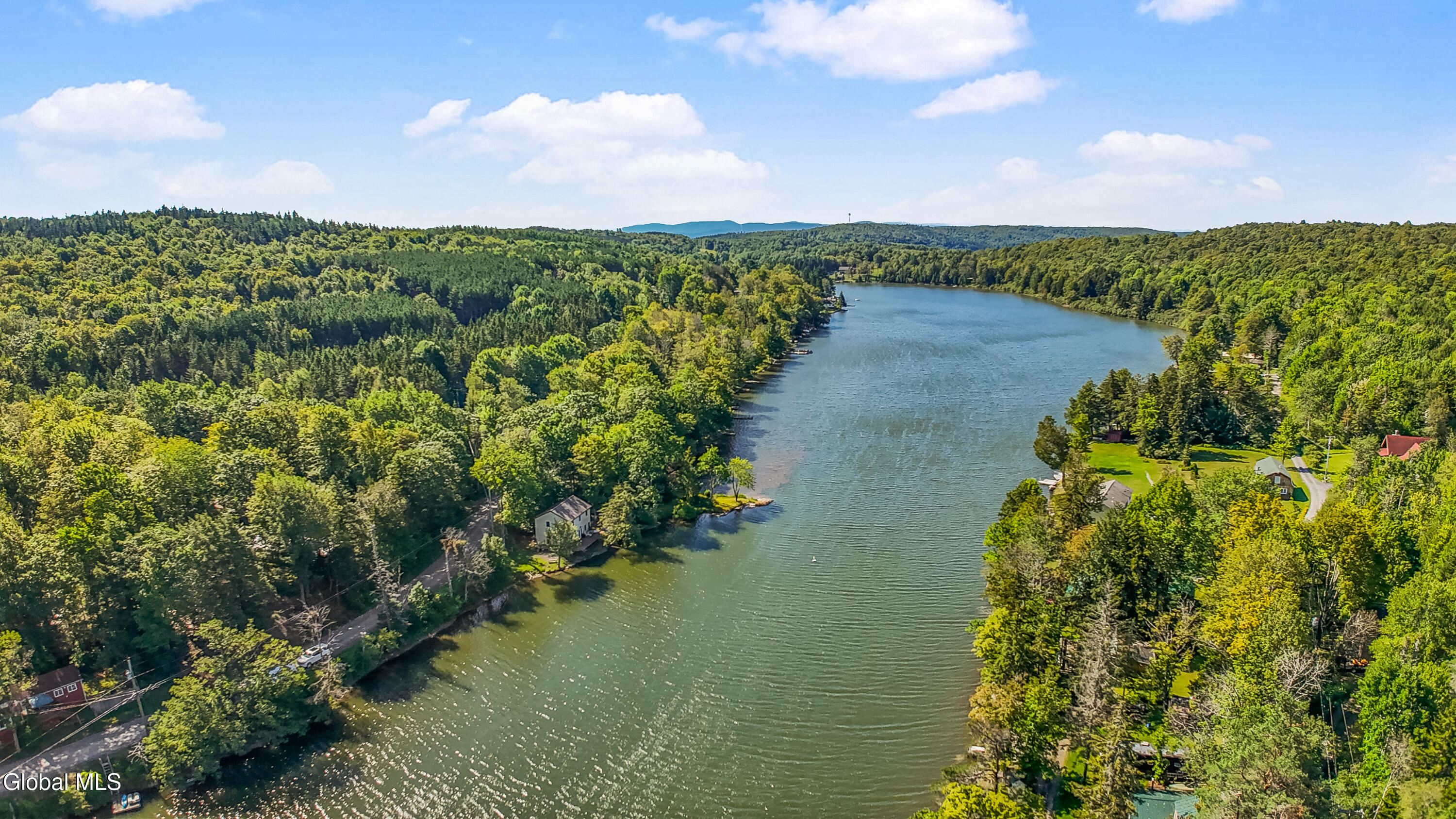 342 Bear Gulch Road Summit, NY 12175 - Photo 2 of 36 342 Bear Gulch Rd Drone-4