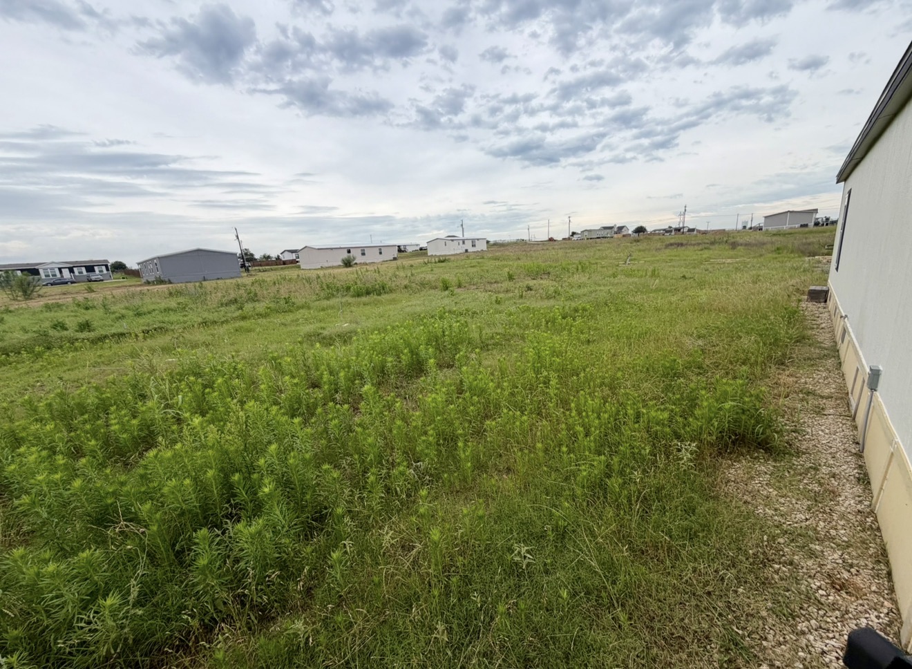 126 Castellana Way Elgin, TX 78621 - Photo 19 of 19 a view of a big yard with lots of green space