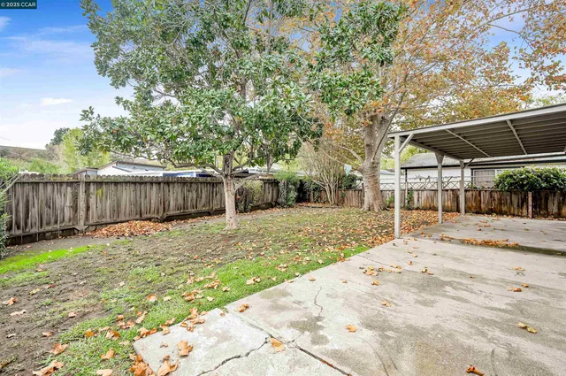 a view of a backyard with a tree