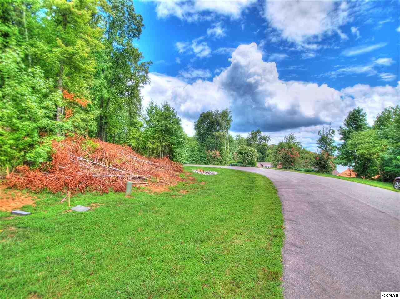 206 Reuben Ridge Road Rockwood, TN 37854 - Photo 6 of 21