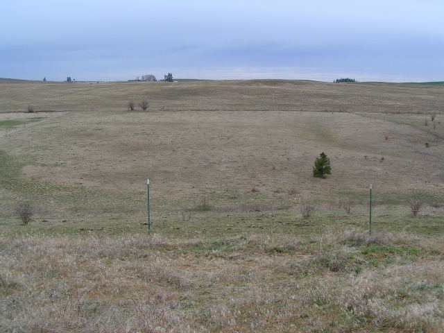 0 Meadows Road Mica, WA 99023 - Photo 1 of 4