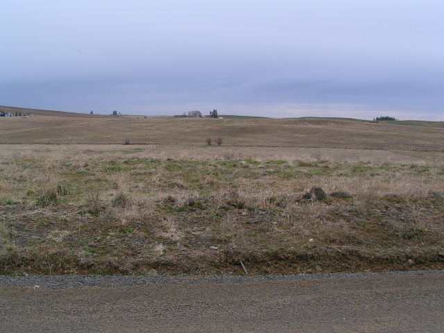 0 Meadows Road Mica, WA 99023 - Photo 2 of 4