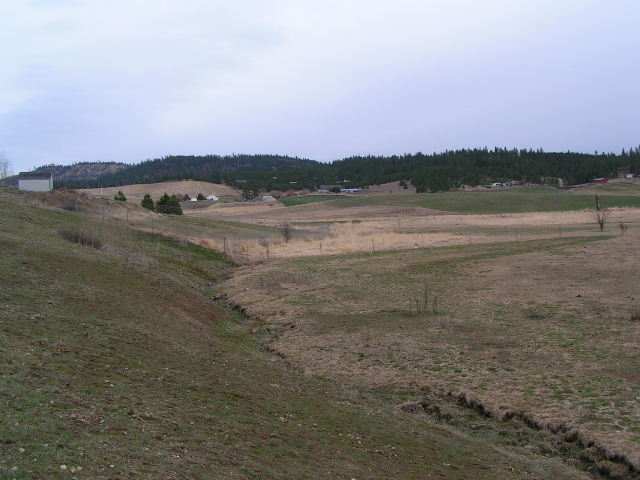 0 Meadows Road Mica, WA 99023 - Photo 3 of 4