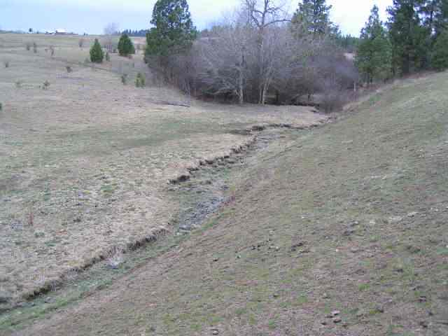 0 Meadows Road Mica, WA 99023 - Photo 4 of 4
