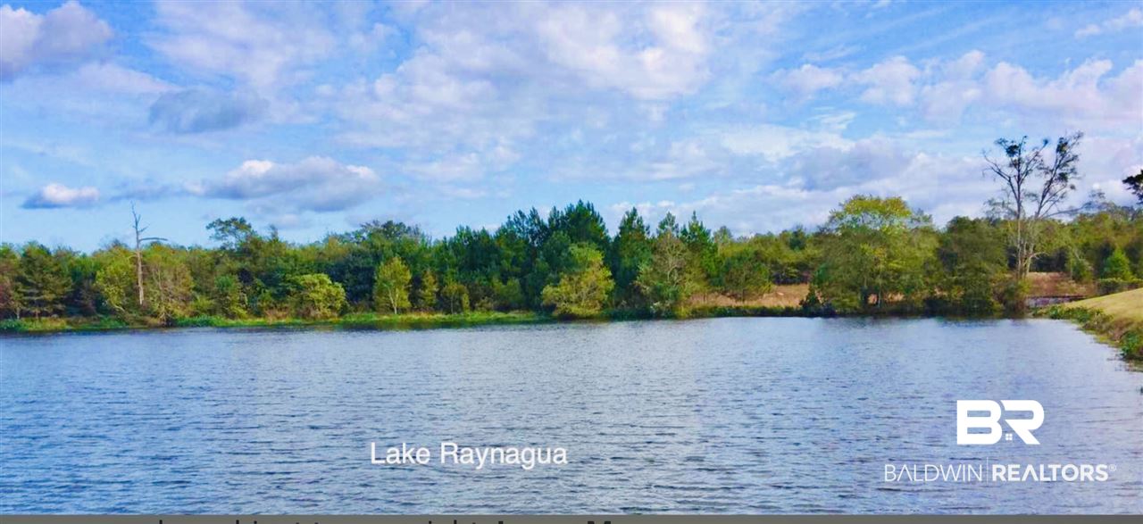 23975 Raynagua Boulevard Loxley, AL 36551 - Photo 40 of 41 40 Acre Manmade Lake