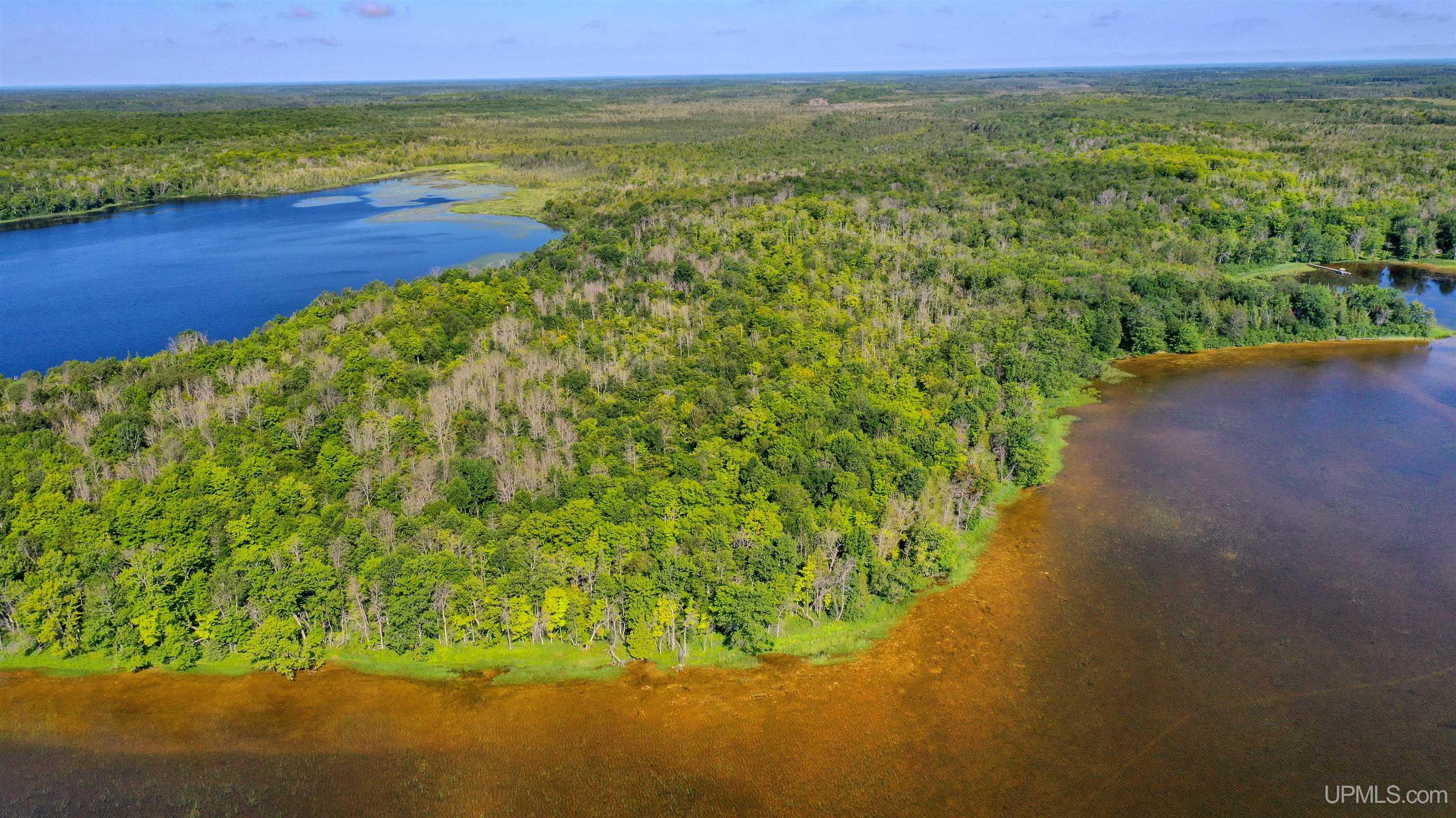 Tbd Neazor Point Road South Germfask, MI 49836 - Photo 7 of 27 Gallery Image 7