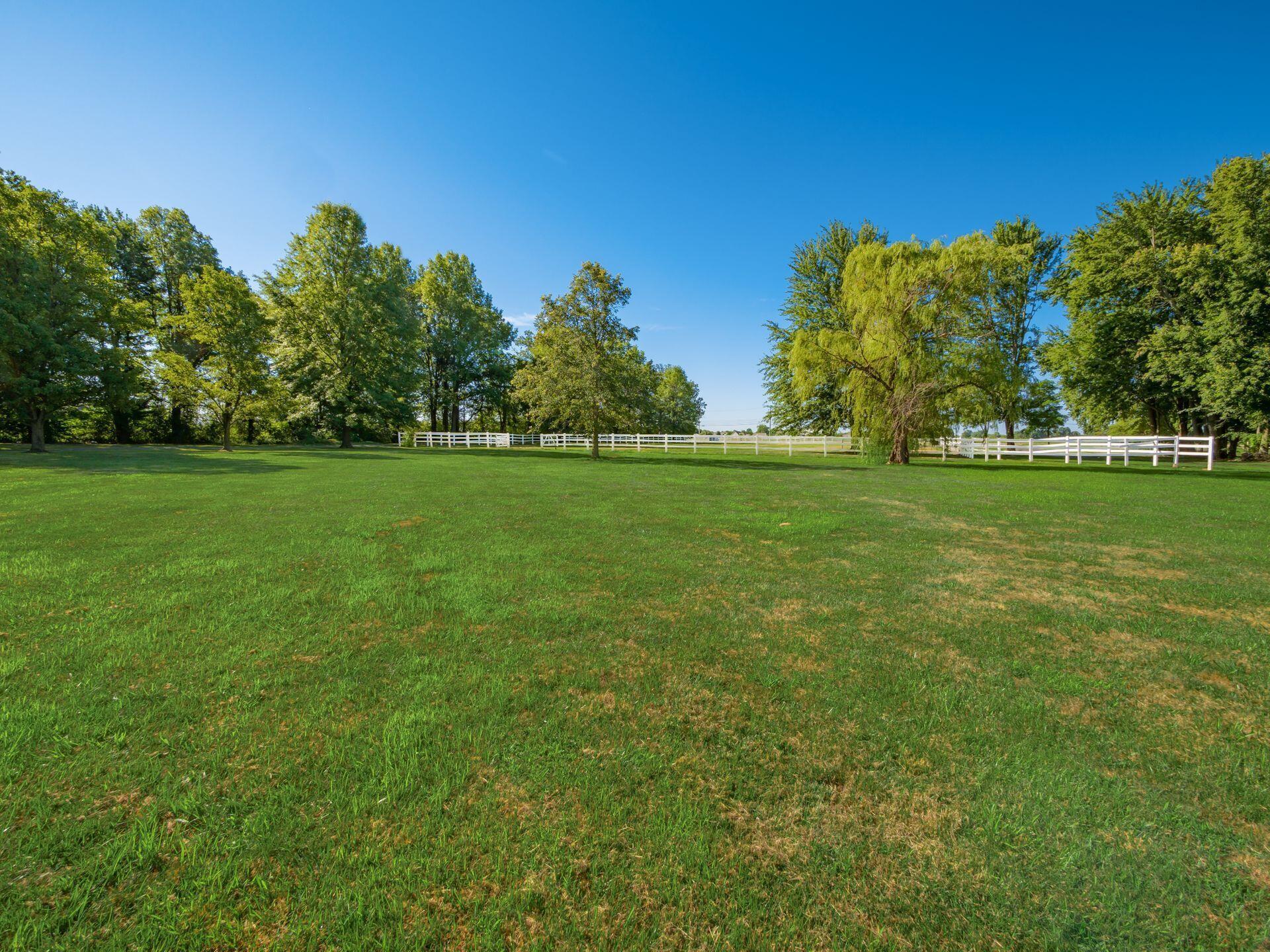 3141 Hollenback Road Lewis Center, OH 43035 - Photo 101 of 111 Front yard