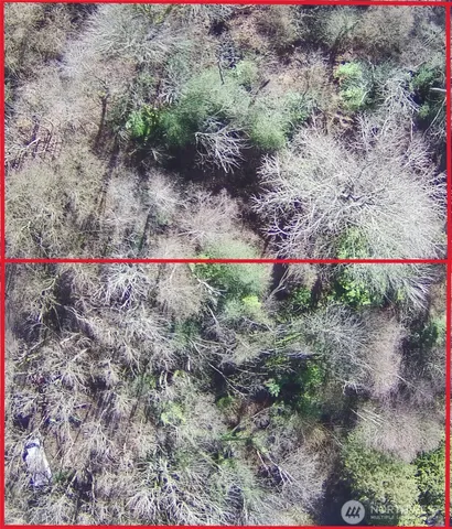 $170,000 | 123 47th Avenue South, Seattle, WA 98178