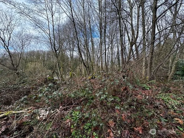 $170,000 | 123 47th Avenue South, Seattle, WA 98178