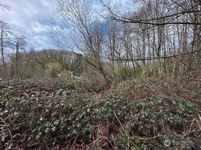 $170,000 | 123 47th Avenue South, Seattle, WA 98178