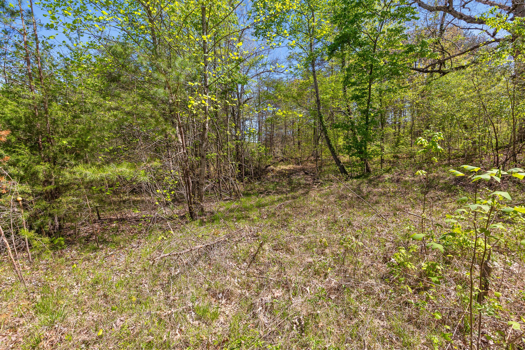 437 County Line Road Signal Mountain, TN 37377 - Photo 11 of 16