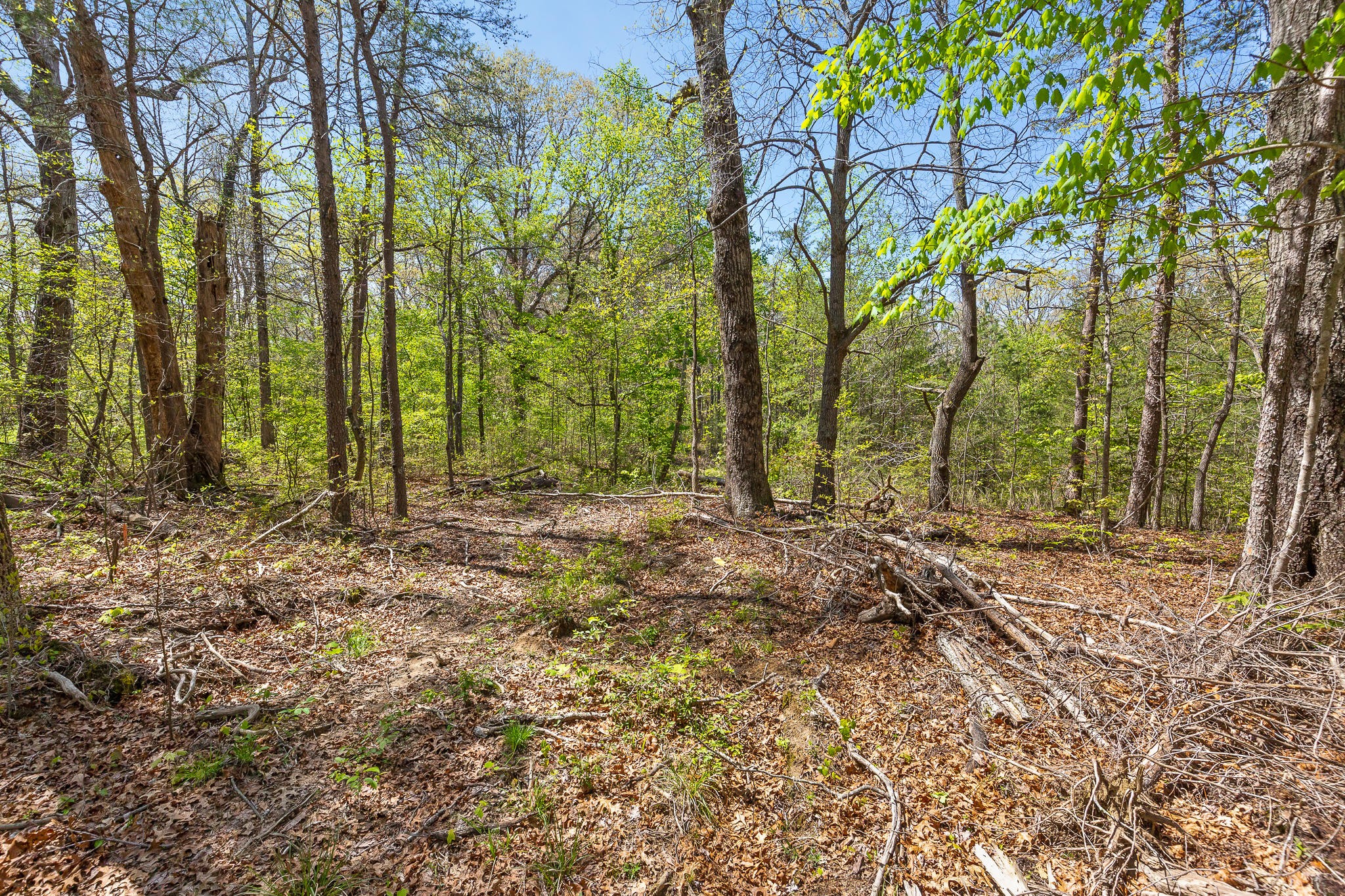 437 County Line Road Signal Mountain, TN 37377 - Photo 7 of 16