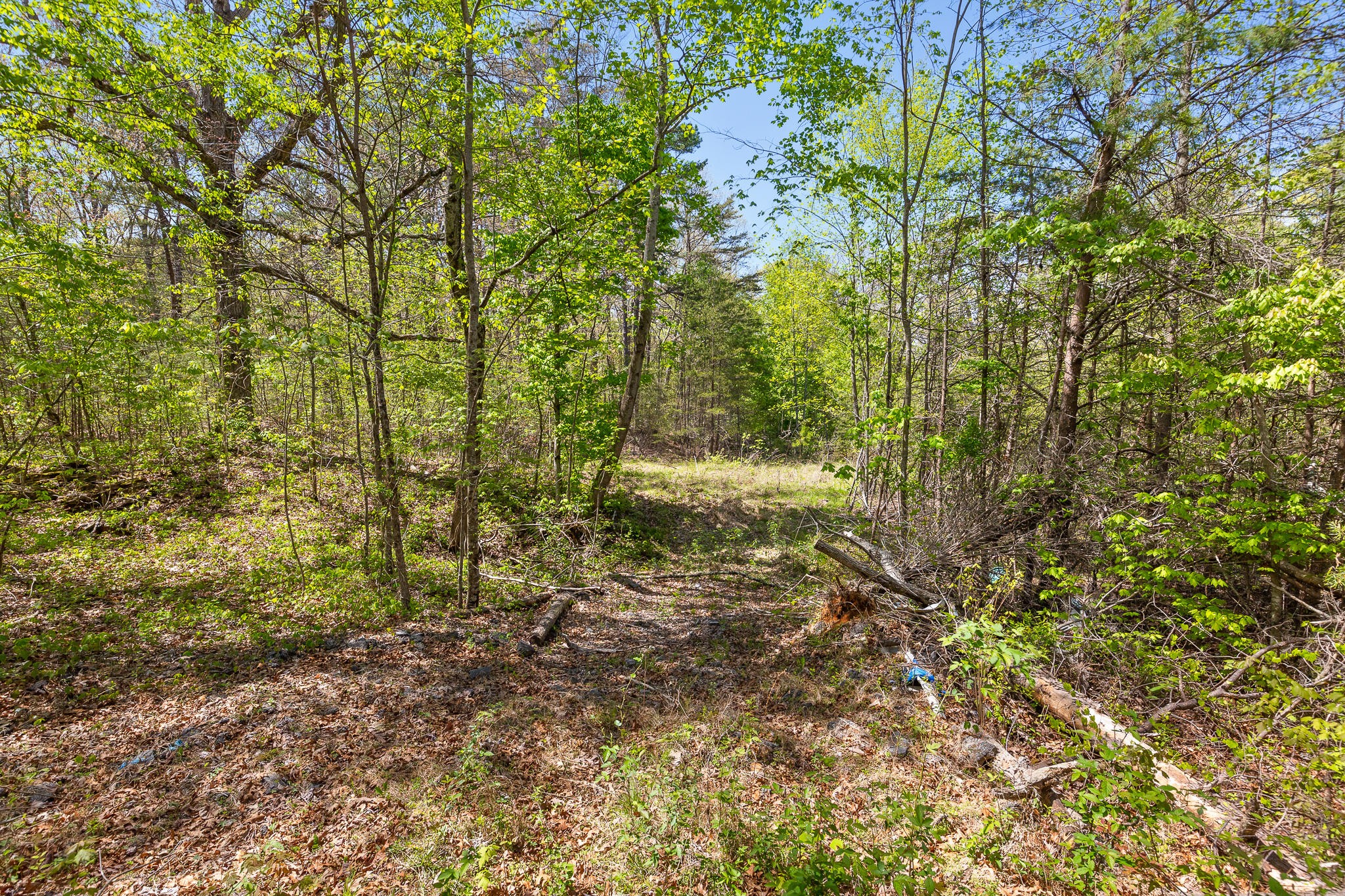 437 County Line Road Signal Mountain, TN 37377 - Photo 9 of 16