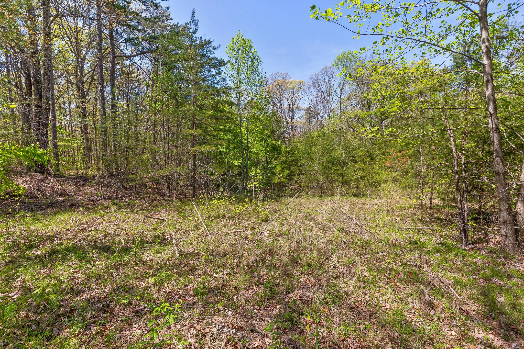437 County Line Road Signal Mountain, TN 37377 - Photo 10 of 16