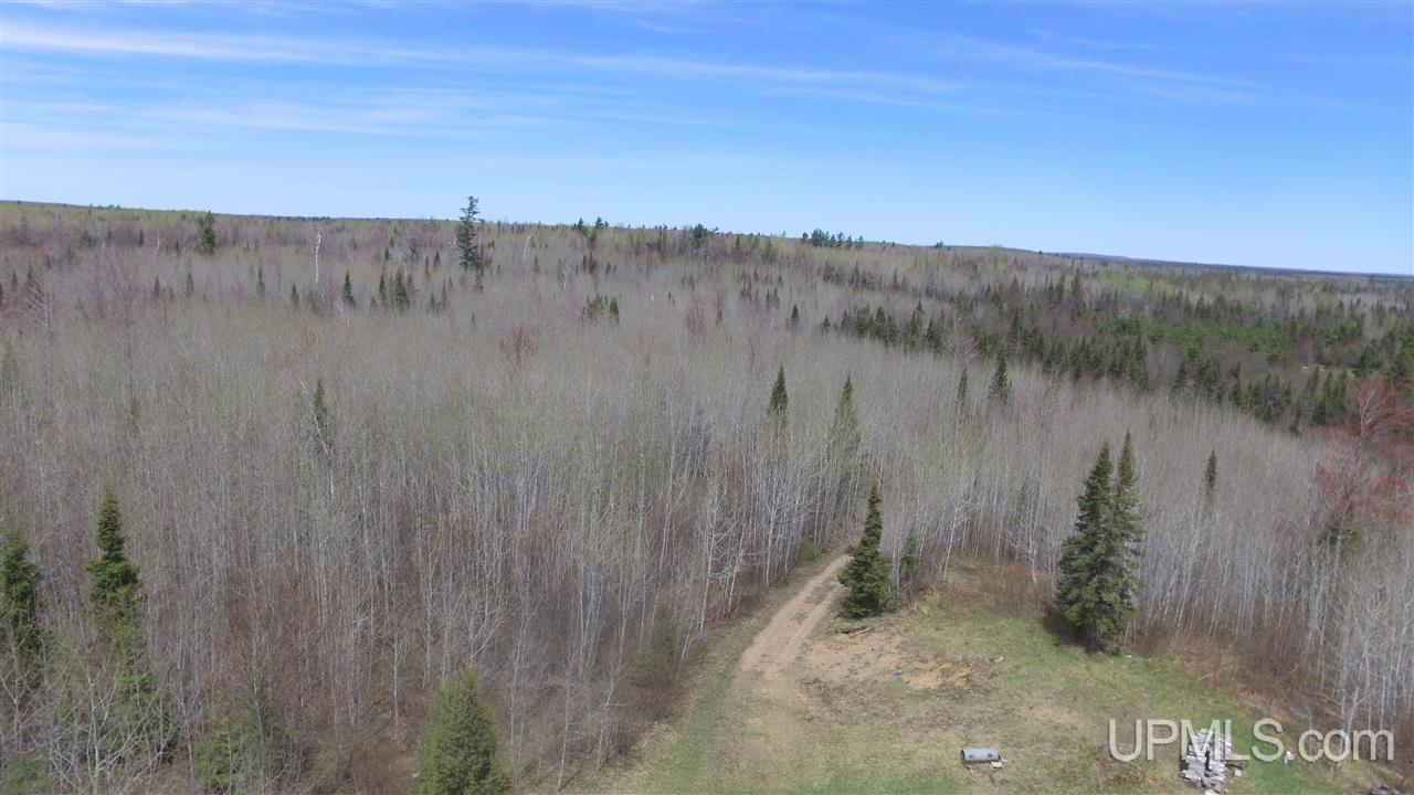Premo Dam Road Amasa, MI 49903 - Photo 41 of 49 Gallery Image 41