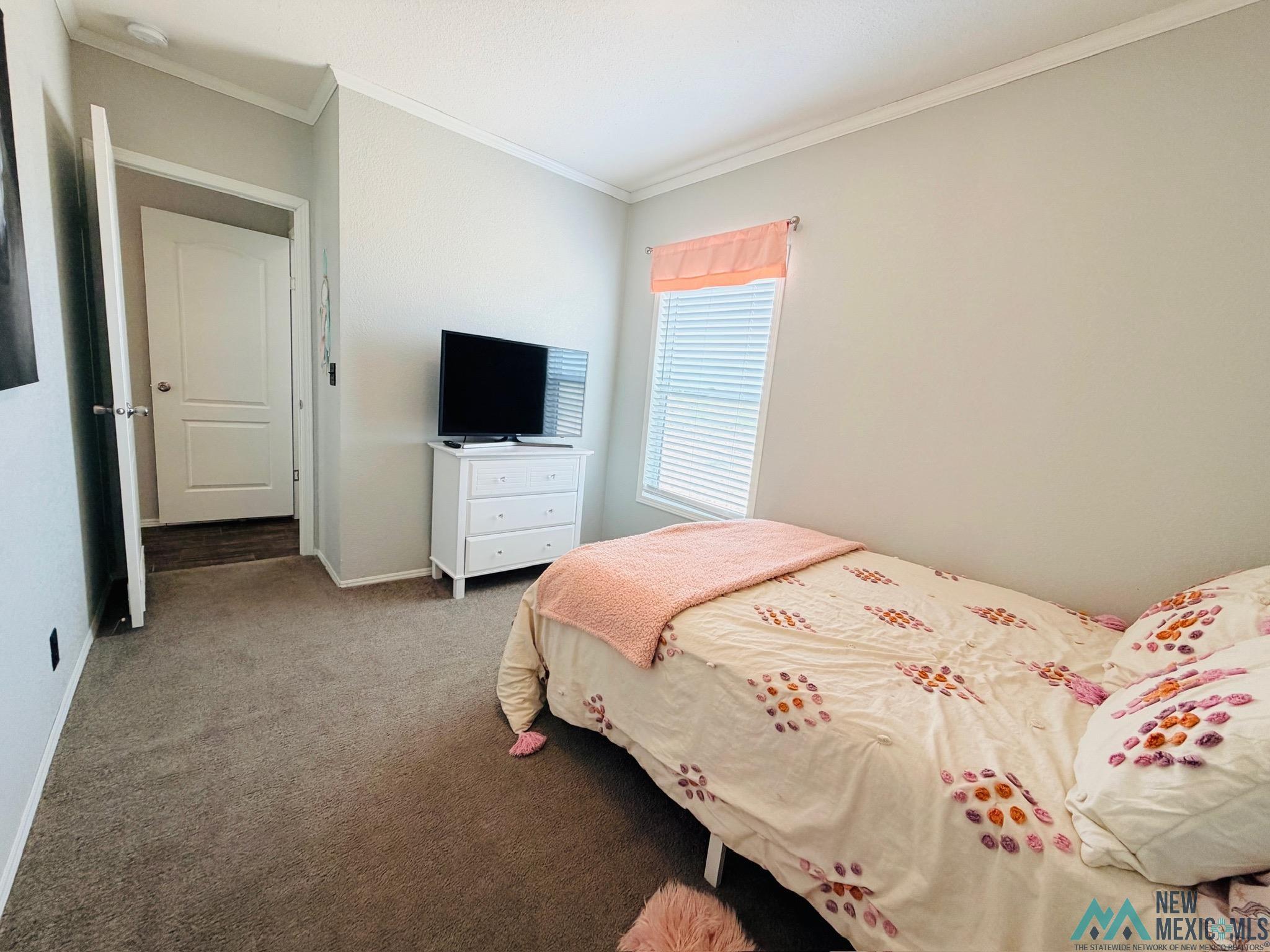7882 Shoshoni Road Hagerman, NM 88232 - Photo 21 of 24 Gallery Image 21