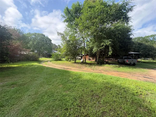 a view of a park with large trees