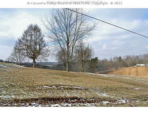 256 Low Gap Road Red House, WV 25168 - Photo 8 of 10 Land.
