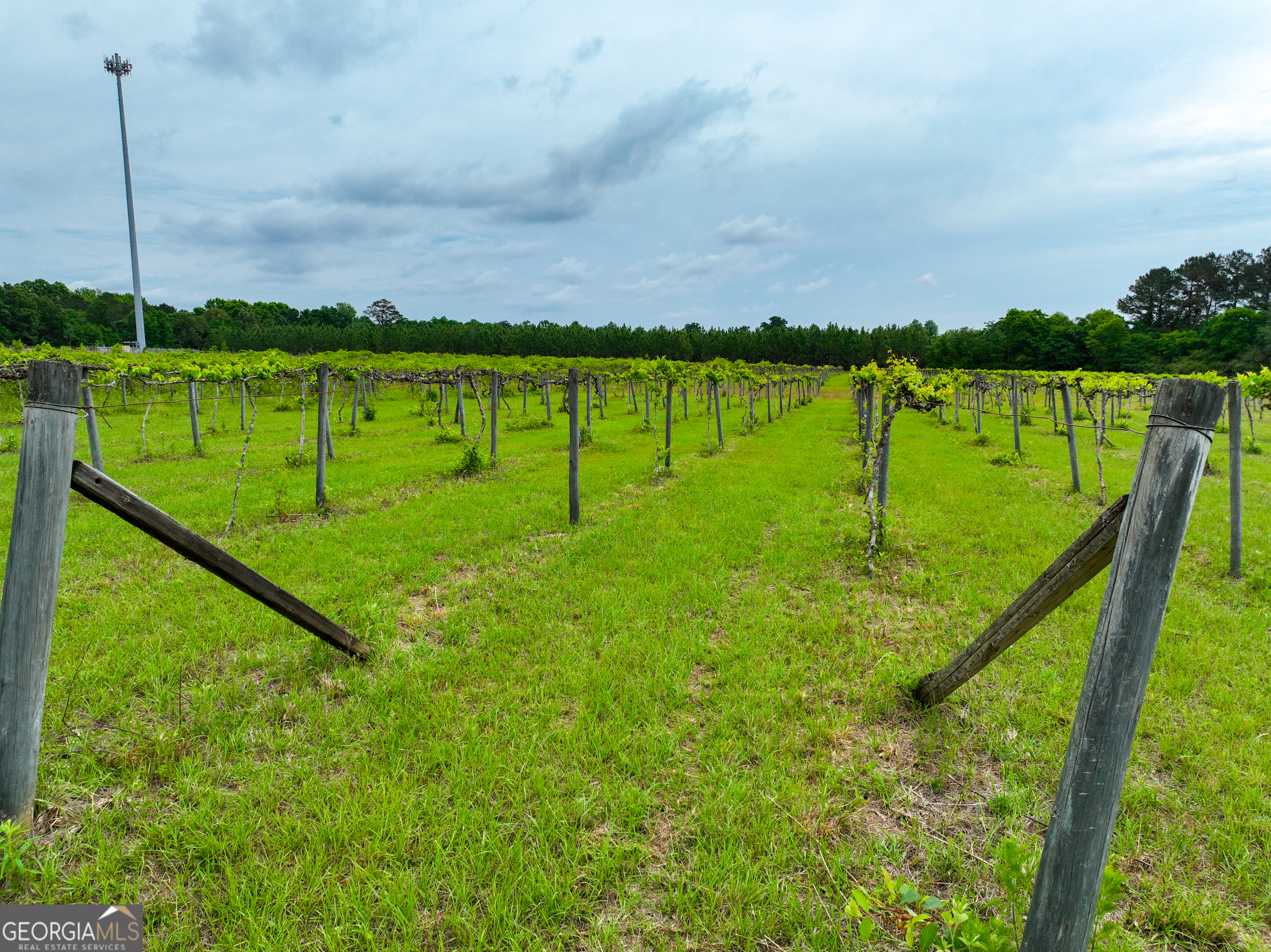 759 Pitts Road Hawkinsville, GA 31036 - Photo 8 of 15 Gallery Image 8