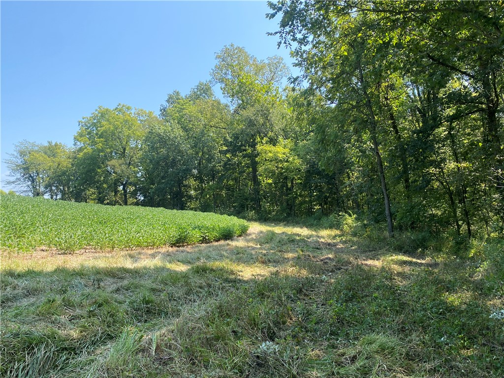 1800 E Road Cowden, IL 62422 - Photo 7 of 8