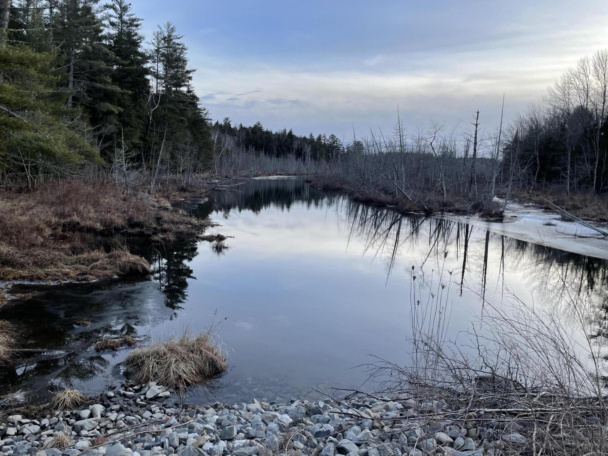 291 Line Road Dexter, ME 04930 - Photo 8 of 13 IMG_2253