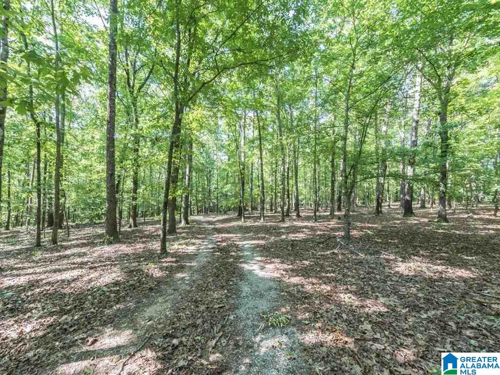 22461 Rosser Lane McCalla, AL 35111 - Photo 19 of 33