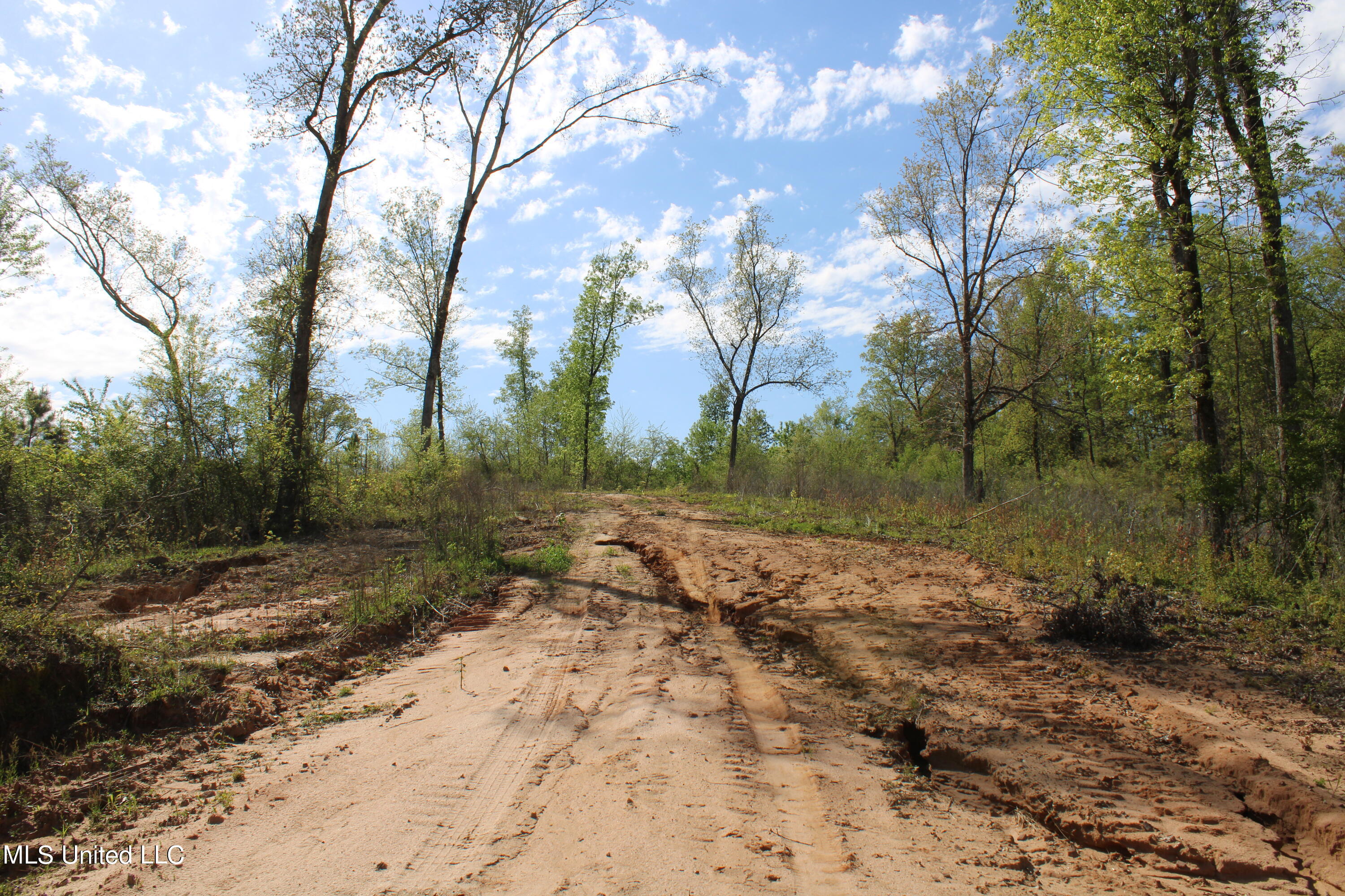 2300 Hamilton Road Falkner, MS 38629 - Photo 12 of 29 IMG_3732