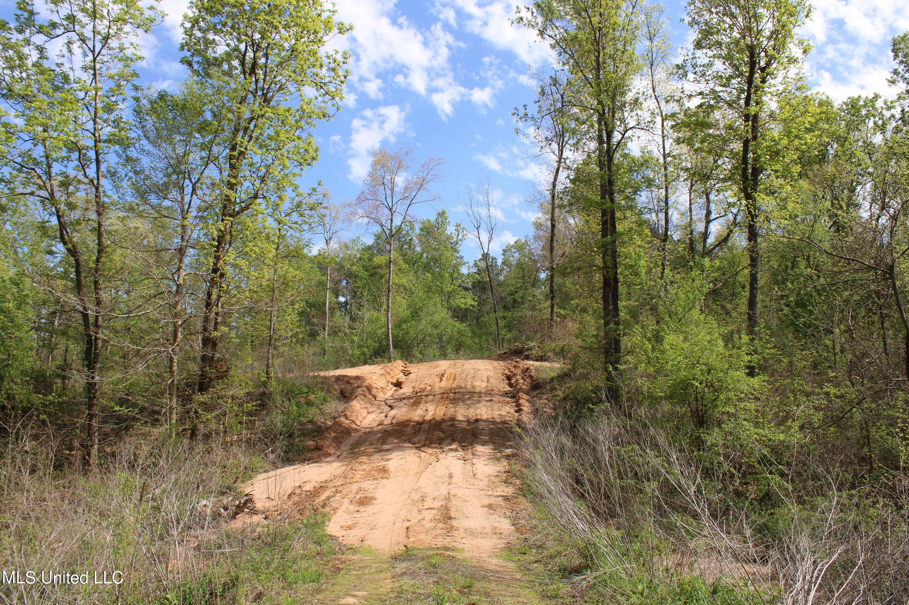 2300 Hamilton Road Falkner, MS 38629 - Photo 13 of 29 IMG_3708