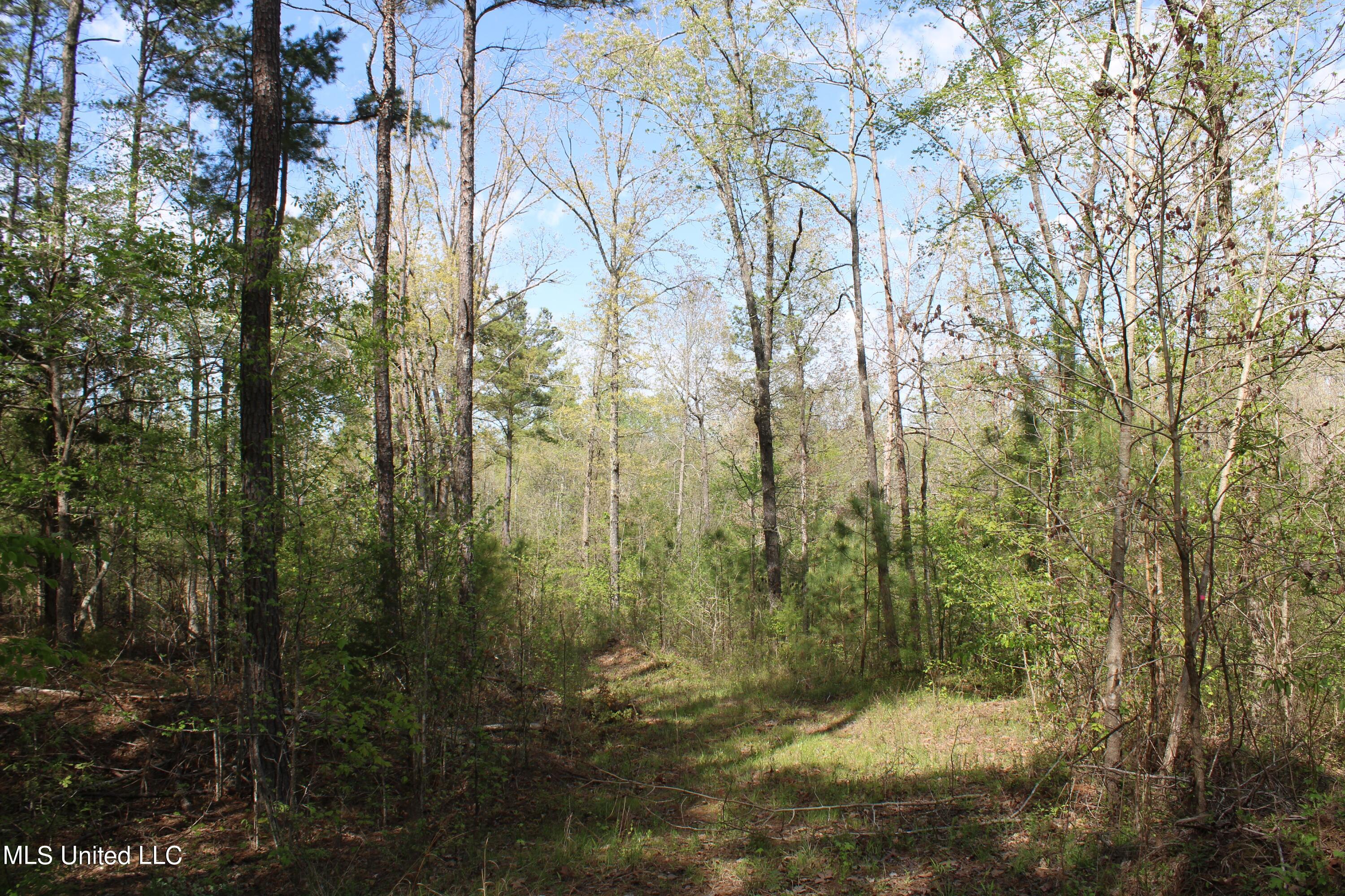 2300 Hamilton Road Falkner, MS 38629 - Photo 20 of 29 IMG_3717