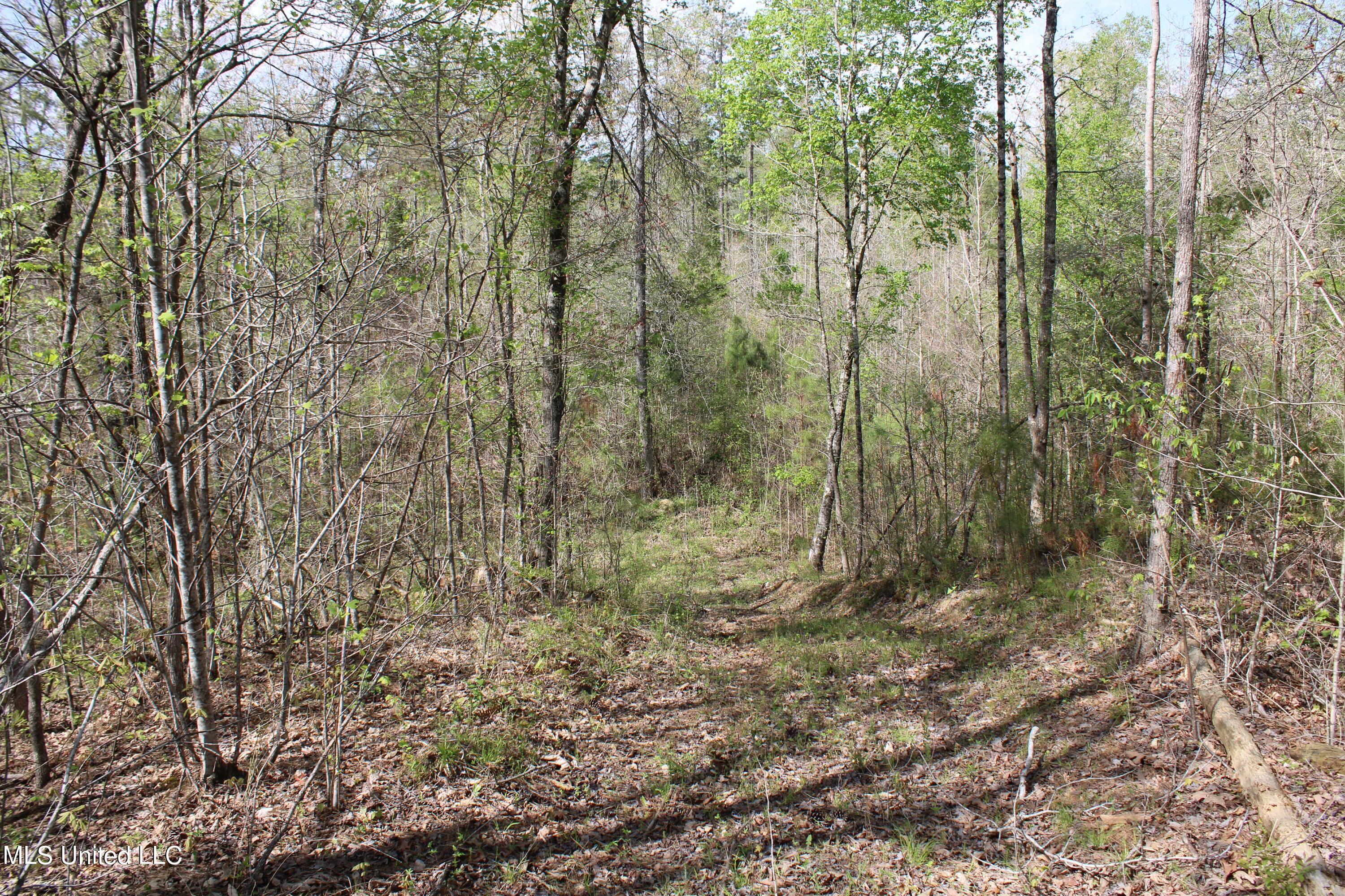 2300 Hamilton Road Falkner, MS 38629 - Photo 23 of 29 IMG_3720